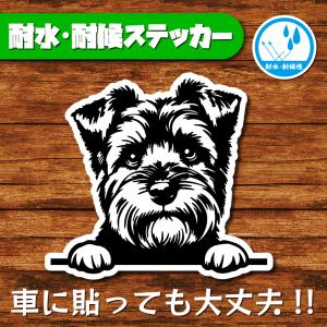 耐水・耐候ステッカー(ノーフォークテリア)
