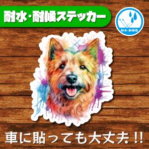 耐水・耐候ステッカー(ノーリッチテリア 2)
