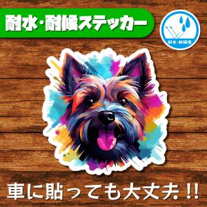 耐水・耐候ステッカー(ケアーンテリア 3)