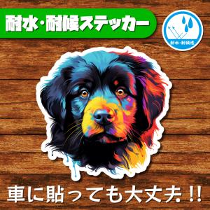 耐水・耐候ステッカー(ニューファンドランド)