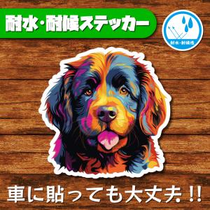 耐水・耐候ステッカー(ニューファンドランド 2)