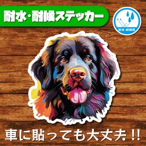 耐水・耐候ステッカー(ニューファンドランド 3)