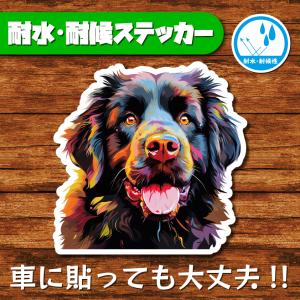 耐水・耐候ステッカー(ニューファンドランド 4)