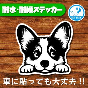耐水・耐候ステッカー(コーギー 9)