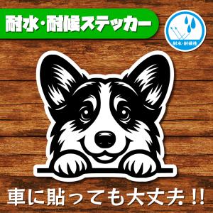 耐水・耐候ステッカー(コーギー 10)