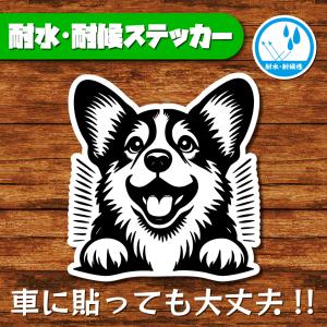 耐水・耐候ステッカー(コーギー 13)