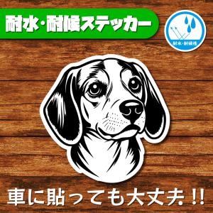 耐水・耐候ステッカー(ビーグル 7)