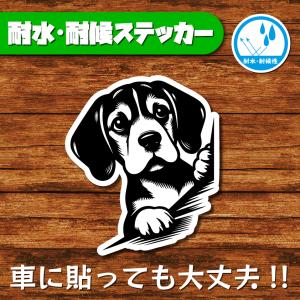 耐水・耐候ステッカー(ビーグル 15)