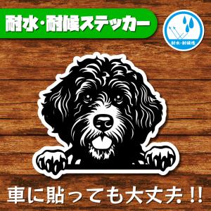 耐水・耐候ステッカー(ポーチュギーズ・ウォーター・ドッグ 3)