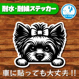 耐水・耐候ステッカー(ヨークシャーテリア 8)