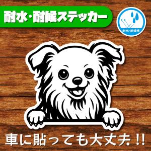 耐水・耐候ステッカー(チワワ 31)