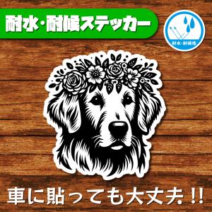 耐水・耐候ステッカー(ゴールデンレトリバー 7)