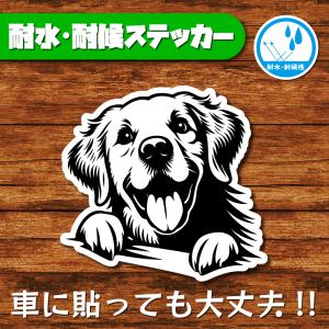 耐水・耐候ステッカー(ゴールデンレトリバー 8)