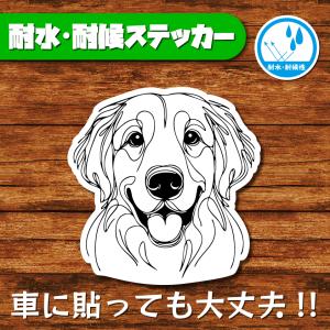 耐水・耐候ステッカー(ゴールデンレトリバー 9)