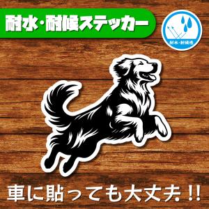 耐水・耐候ステッカー(ゴールデンレトリバー 10)