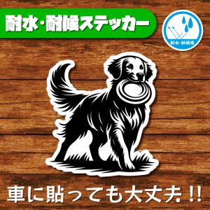 耐水・耐候ステッカー(ゴールデンレトリバー 11)