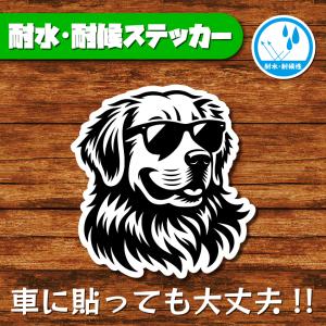 耐水・耐候ステッカー(ゴールデンレトリバー 12)