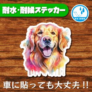 耐水・耐候ステッカー(ゴールデンレトリバー 14)