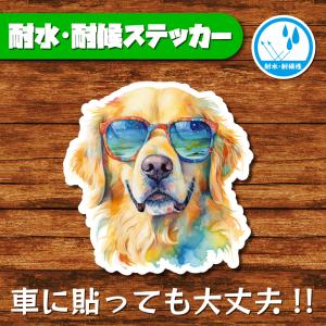 耐水・耐候ステッカー(ゴールデンレトリバー 16)