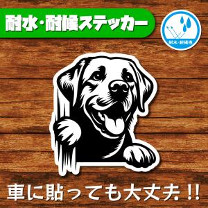 耐水・耐候ステッカー(ラブラドールレトリバー 7)