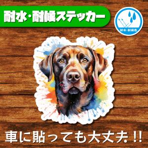 耐水・耐候ステッカー(ラブラドールレトリバー 13)