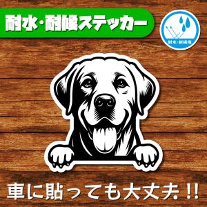 耐水・耐候ステッカー(ラブラドールレトリバー 17)