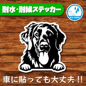 耐水・耐候ステッカー(フラットコーテッドレトリバー)