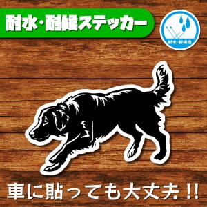 耐水・耐候ステッカー(フラットコーテッドレトリバー 2)