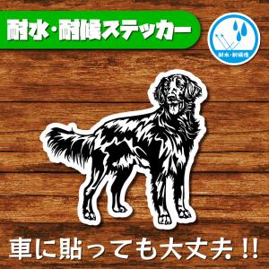 耐水・耐候ステッカー(フラットコーテッドレトリバー 3)
