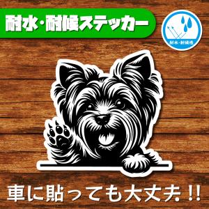 耐水・耐候ステッカー(ヨークシャーテリア 23)