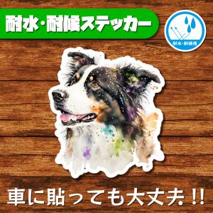 耐水・耐候ステッカー(ボーダーコリー 13)