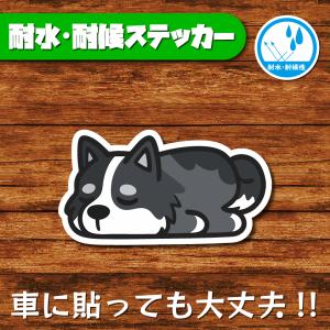 耐水・耐候ステッカー(ボーダーコリー 14)