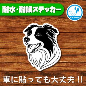 耐水・耐候ステッカー(ボーダーコリー 18)
