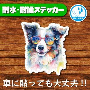 耐水・耐候ステッカー(ボーダーコリー 20)