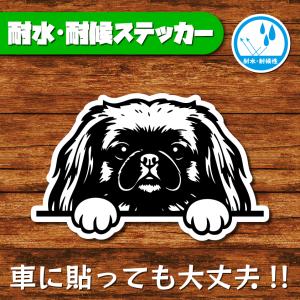 耐水・耐候ステッカー(ペキニーズ 21)