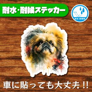 耐水・耐候ステッカー(ペキニーズ 23)