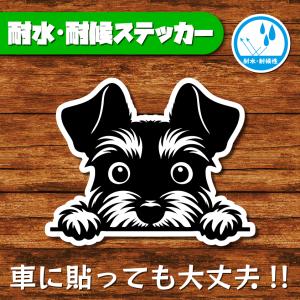 耐水・耐候ステッカー(ミニチュアシュナウザー 32)