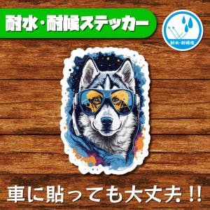 耐水・耐候ステッカー ハスキー オオカミ 狼 犬ステッカー dog 犬