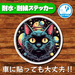 耐水・耐候ステッカー 猫ステッカー ねこ 黒猫