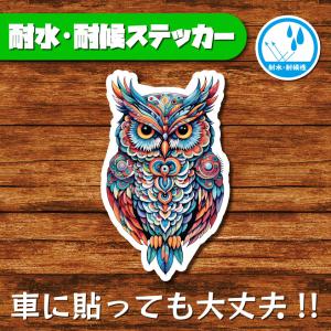 耐水・耐候ステッカー サイケ サイケデリック フクロウ フクロウステッカー 梟