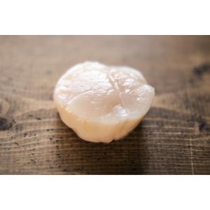 帆立パウダー 100g 北海道産 干し貝柱 帆...の詳細画像1