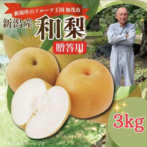 秀品 新潟産 和梨 3kg（5個から10個）八雲・愛甘水・幸水・豊水・二十一世紀・南水・新高・新興 ...