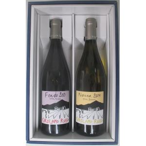 ソムリエ厳選 ギフト用 イタリア シチリア エトナワイン 紅白 750mlx2本セット