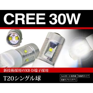 LED 30W T20 シングル球 6000K CREE XB-D- アルミヒートシンク｜tasukaru