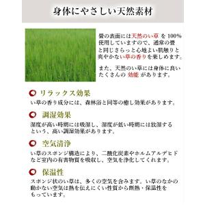 【爆買】置き畳 畳 ユニット畳 琉球畳 い草 ...の詳細画像1