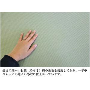 【爆買】置き畳 畳 ユニット畳 琉球畳 い草 ...の詳細画像2