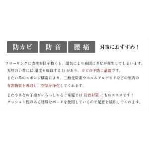 【爆買】床暖房対応 国産 畳マット 畳マットレ...の詳細画像5