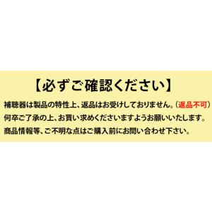 デジタル耳あな型補聴器【ニコン・エシロール N...の詳細画像2