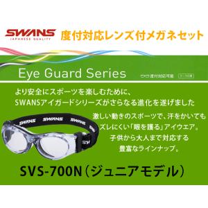 SWANS（スワンズ） 【SWANSアイガード（スワンズ アイガード）SVS