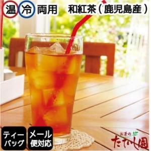 紅茶 ティーバッグ 和紅茶ティーパック(ティーポット・水出し両用) 5g×32パック 送料無料 メール便｜tateishien